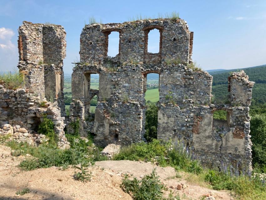 Apponyi história